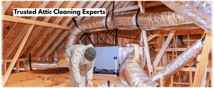 Attic Cleaning Joliet