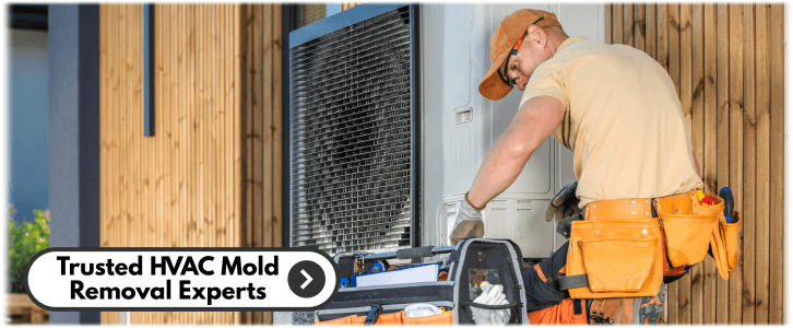 HVAC Mold Removal Joliet